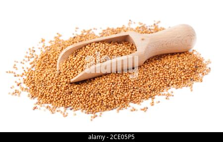 Mustard isolated on white. Les graines de moutarde dans une cuillère en bois écope isolé sur fond blanc. Les graines de moutarde dans scoop en bois Banque D'Images