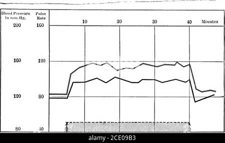 . L'étude clinique de la tension artérielle : un guide de l'utilisation du sphygmomanomètre dans la pratique médicale, chirurgicale et obstétricale, avec un résumé des faits expérimentaux et cliniques relatifs à la tension artérielle dans la santé et dans la maladie . ure; la chute de pression suivante, avec une diminution de la pression d'impulsion, alors que le rateremmenait rapidement. nerfs en général, et du cortex cérébral (voir page 21). On s'est engagé à penser à la dépendance de la circulation du cerveau sur la tension artérielle généralepour répondre à ses demandes locales, puisque - les vaisseaux du cerveau probablyont peu de vaso-Motor approvisionnement, comme la preuve Banque D'Images