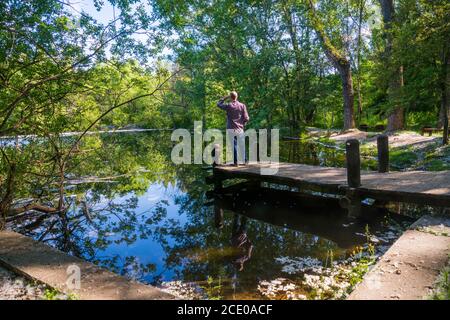 Homme dans la forêt finlandaise. Rascafria, province de Madrid, Espagne. Banque D'Images