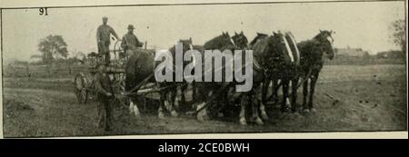 . Rapport . Figure 96. EM. Ferme Roys.—stables.. Fi-. 91. EM. Roys Farm.—machine sur route. 357 produits géalement de la ferme, qui sont bons, surtout 24 acres de pâturage, 56 acres de prairie, | acre de maïs indien pour les semences, 1 acre de pommes de terre; nous pouvons mentionner aussi le jardin, qui est admirablement propre, bien cultivé, et bien approvisionné, Et 22 améliorations des ruches d'abeilles, pour proclamer que M. Trudeau comprend l'agriculture. Les bovins sont des animaux de qualité, en bon état et assez bon.outre 7 chevaux de différents âges, y compris 1 étalon, les troupeaux comprennent 10 vaches de milch, 1 taureau, 5 génisses, 2 veaux, 10 bon g. Banque D'Images