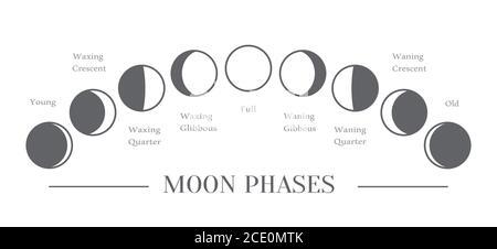 Phases lunaires. Tout le cycle de la nouvelle lune à la pleine lune. Vecteur Illustration de Vecteur