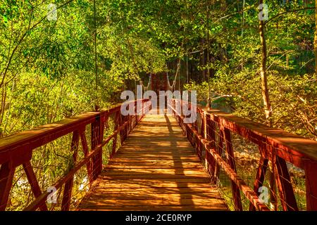 Passerelle de suspension vers Zumwalt Meadow. Zumwalt randonnée dans le parc national de Kings Canyon, un grand défrichement dans la forêt avec les fleurs sauvages et le Banque D'Images