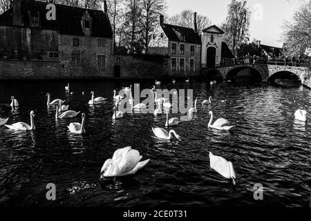 photographie de brugge à bruxelles de haute qualité Banque D'Images
