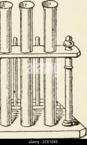 . Un compagnon des lecteurs tropicaux de Blackie, les livres I et II : contenant des suggestions d'expériences et de travaux pratiques . «&gt; «&gt; » &lt;s ^. Banque D'Images