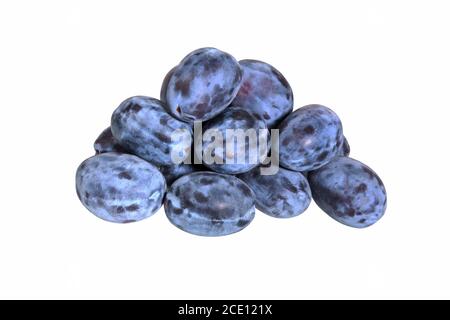 Prunes isolées sur fond blanc. Pruneaux juteux gros plan sur le tas de prunes. Banque D'Images