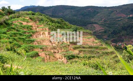 Photos de paysages de champs verts et de paysages sur l'île De Madagascar Banque D'Images