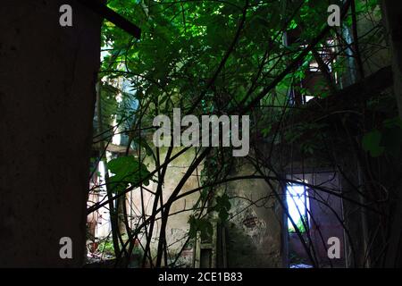 ruiné des habitations abandonnées et délabrées avec des arbres brisés et de la verdure dans l'obscurité dans le béton Banque D'Images