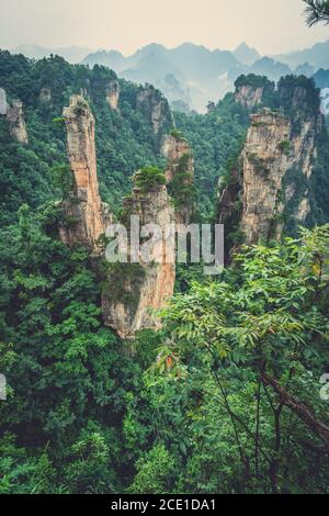Piliers en pierre des montagnes de Tianzi à Zhangjiajie Banque D'Images