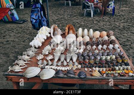 Magnifique collection colorée de coquillages en vue de dessus isolé sur la table à vendre sur la plage, été – Bali – Indonésie Banque D'Images