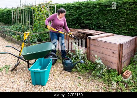 Femme travaillant dans le jardin déplaçant du compost entre les bacs. Banque D'Images