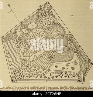 . Une encyclopédie de jardinage; . ed du célèbre arbre de Cruikbton Castle il y a vingt ans. 34. Entrée sud de Dunbarton ro,-.d. 35. Chambres de sous-jardiniers et hangars de pcUing. Sur le mur fermé, qui est dix tltt haut, et aussi dans l'esculent dejiartn-ient (12), les types les plus approuvés ofhardviruit-ti-ees sont cultivées, de sorte que ce jardin, comme celui ofPans, combinera l'horticulture aussi bien que botanique en formation. Le plan a été exécuté tmder la direction de StegartMurray, le verv intelligent ar.d sati.-factorv curatorot le jardin. Il a été commencé en mai 1S17, et coinj.l Banque D'Images