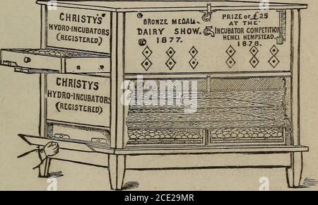 . Incubation artificielle pratique. Un résumé des progrès réalisés ces dernières années dans l'incubation artificielle dans ce pays et en Europe . BRONZE ME0AUO- PRJ?Z&?*SPECTACLE LAITIER.(gslNCUBATOR COMPLTITK)JJ| a 18 77 HCMElHEMPSTEAD.fi |$| III HYDRO-INCUBATEUR POUR 500 OEUFS.construit avec deux citernes et quatre tiroirs, chaque citerne de travail indépendant de l'autre. Qui ont des incubateurs n'ont pas cette commodité. Ourown plan était comme suit : — nous avons placé l'incubatordans un dressing adjacent à la salle de bain, et uponle haut de l'incubateur a mis un petit poêle à gaz, uponqui une grande chaudière en étain, tenant Banque D'Images