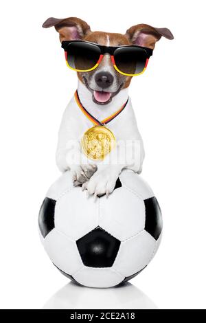 chien de football allemand Banque D'Images