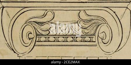 . Pompéi; son histoire, ses bâtiments et ses antiquités : un compte rendu de la destruction de la ville, avec une description complète des vestiges, des fouilles récentes et aussi un itinéraire pour les visiteurs . i 249 PARTIE II. CAPITAL IONIQUE.* CHAPITRE I. ARCHITECTURE DOMESTIQUE DE L'ITALIE. La première partie ayant été employée pour décrire les bâtiments publics qui sont conservés à Pompéi, la seconde contiendra un compte rendu des maisons les plus remarquables qui ont été disinterred; des peintures, des ustensiles domestiques, et d'autres articles trouvés dans eux; et ces informations uponthe manières domestiques de l'anci Banque D'Images