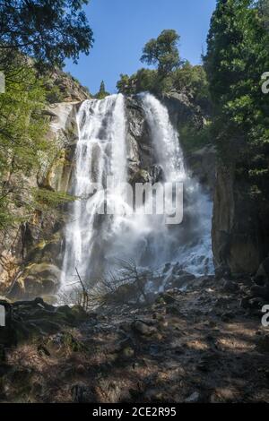 le grizzli tombe dans le parc national du kings canyon aux états-unis Banque D'Images