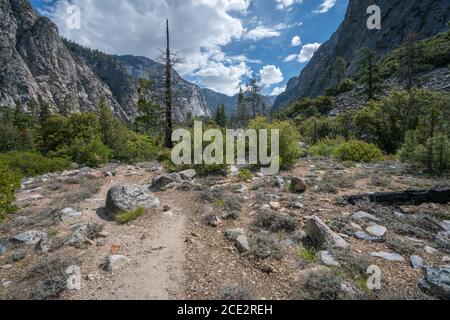 pré de zumwalt dans le parc national de kings canyon aux états-unis Banque D'Images