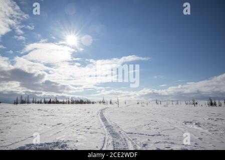 Pistes de motoneige dans un paysage enneigé de toundra, Yamalo-Nenets Autonomous Okrug, Russie Banque D'Images