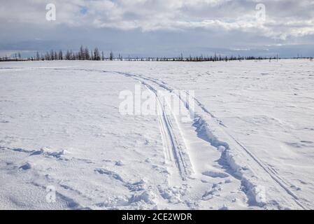 Pistes de motoneige dans un paysage enneigé de toundra, Yamalo-Nenets Autonomous Okrug, Russie Banque D'Images