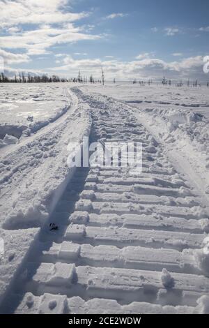 Pistes de motoneige dans un paysage enneigé de toundra, Yamalo-Nenets Autonomous Okrug, Russie Banque D'Images