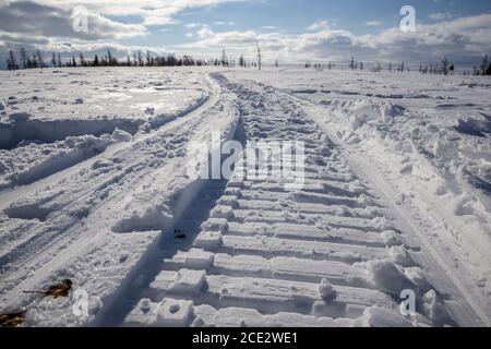 Pistes de motoneige dans un paysage enneigé de toundra, Yamalo-Nenets Autonomous Okrug, Russie Banque D'Images