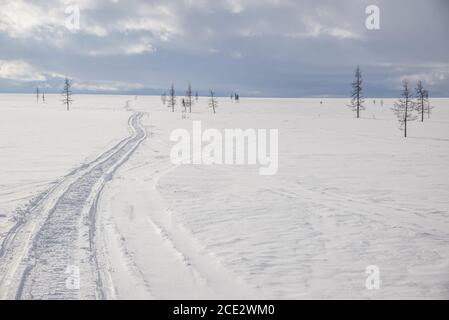 Pistes de motoneige dans un paysage enneigé de toundra, Yamalo-Nenets Autonomous Okrug, Russie Banque D'Images