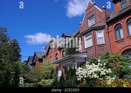 Rue de vieilles maisons mitoyennes avec des gables et des fleurs d'été dans des jardins luxuriants Banque D'Images