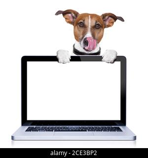 chien de l’ordinateur Banque D'Images