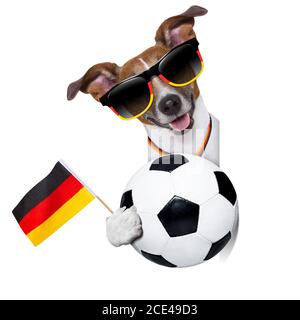 chien de football allemand Banque D'Images