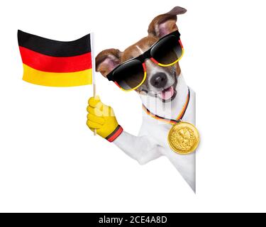 chien de football allemand Banque D'Images