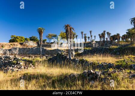 Les ruines du grand Zimbabwe, les structures en pierre du 'complexe de la Vallée' et des aloès, ancienne capitale de la civilisation Bantu, province de Masvingo, Zimbabwe, Afrique Banque D'Images