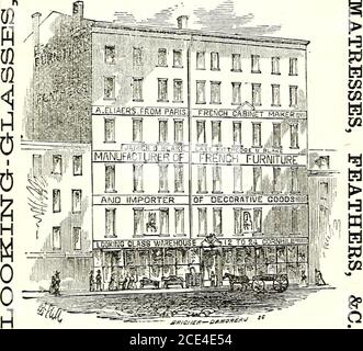 . Le répertoire de Salem : contenant le registre de la ville, les écoles, les églises, les banques, les sociétés, etc., les noms des citoyens, un annuaire des affaires, les événements généraux des années 1854 et 1855, un almanach pour 1857 et une variété de diverses matières . eries, à Cambridge, UN GRAND STOCK D'ARBRES FRUITIERS! Embrassant toutes les meilleures sortes de poires, pommes, l^lums, pêches, Cherrie^, et autres fruits, vigne, fraises, raisins de Corinthe, framboises, groseilles à maquereau, etc Les arbres finestORNAMENTAL ET OMBRAGÉS,arbres Evergreen ; plantes de haies ; arbustes à fleurs ; Roses ; et plantes grimpantes,—aussi une très grande collection Banque D'Images