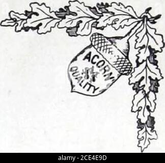 . Plafonds et murs latéraux : Catalogue no 60 . Banque D'Images