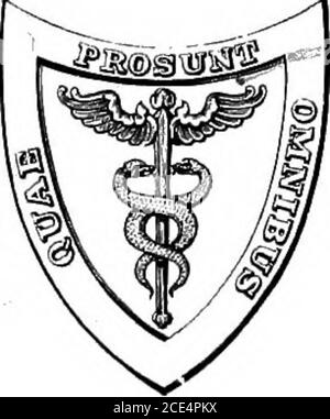 . Microörganismes pathogènes; un manuel pratique pour les étudiants, les médecins et les agents de santé . p f^ ?V -^ MICRO-ORGANISMES PATHOGÈNES UN MANUEL PEACTICAL POUR LES ÉTUDIANTS, PHYSICIANSAND HEALTH OFFICEES PAR WILLIAM HARTOCK PARK, M.D. PBOFESSOR DE BACTEKIOLOGY AND HYGIENE, UNIVERSITY AND BELLEVUE HOSPITAL MEDICAL COLLEGE ET DIRECTEUR DU BUREAU DES LABORATOIRES DU DÉPARTEMENT DE LA SANTÉ, NEW YORK CITY ET ANNA WESSELS WILLIAMS, M.D. DIRECTEUR ADJOINT DU BUREAU DES LABORATOIRES DU DÉPARTEMENT DE LA SANTÉ; PATHOLOGISTE-CONSEIL À L'INFIRMERIE DE NEW YORK POUR LES FEMMES ET LES ENFANTS AIDÉ PAR CHARLE Banque D'Images