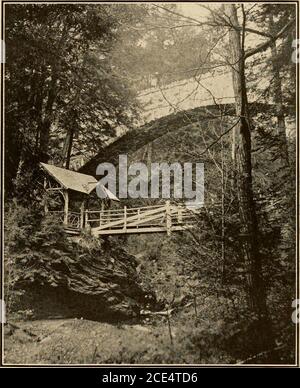 . Souvenir illustré de Fairmount Park, Philadelphie, Pennsylvanie. Extrémité ouest du pont Walnut Lane, Wissahickon Drive. Piscine Devils, Wissahickon. ^ Banque D'Images