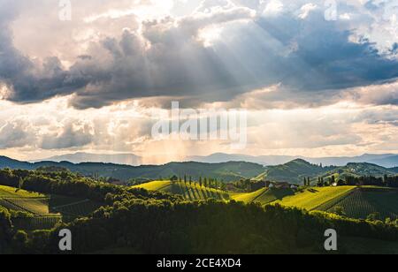 Magnifique paysage de vignobles autrichiens dans le sud de la Styrie. La Toscane célèbre comme un endroit à visiter. Banque D'Images