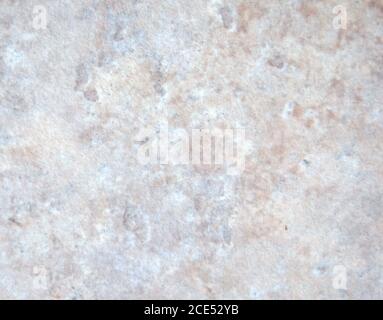 Marbre gris pâle avec nervures et asperges beige, gros plan sur une surface en pierre naturelle polie. Arrière-plan, texture. Banque D'Images