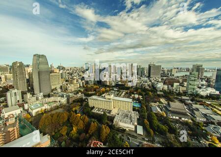Vue sur Tokyo depuis l'observatoire de la Tour de Tokyo Banque D'Images