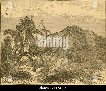 . La vie de l'honorable William F. Cody, connu sous le nom de Buffalo Bill, le célèbre chasseur, scout et guide. Une autobiographie . avait tué, comme le duc voulait les garder comme souvenirs de la chasse. J'ai fait le choix de la viande de la vache et je l'ai apporté à l'intucamp, et cette nuit-là au souper Alexis a eu le plaisir de manger sur le steak de buffle grillé obtenu de l'animaldont il avait tiré lui-même. Nous sommes restés dans ce camp deux ou trois jours, pendant lesquels nous avons chassé la plupart du temps, les buffles du Grand-duc himselfkillino eificht. Un jour Alexis a voulu voir comment les Indiens chassent les buffles et les ont tués avec Banque D'Images