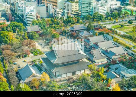 Temple Zojoji vu de l'Observatoire de la Tour de Tokyo Banque D'Images