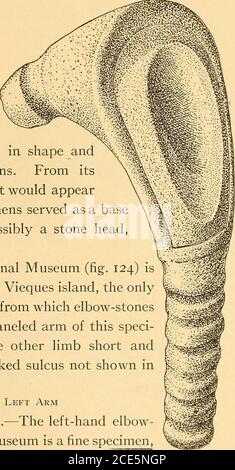 . Les coudes de Porto-Rican dans le musée Heye, avec la discussion d'objets similaires ailleurs; . le panneau, est en position auniforme, il varie en forme et en taille dans les différents spécimens. De sa forme générale et de sa simplicité, il est nécessaire que le panneau de ces spécimens sert de baseto auquel un autre objet, peut-être une tête de pierre, était attaché. Le spécimen dans le Musée national (fig. 124) dit avoir été récolté à l'île de Vieques, la localité onlylocale à l'exception de Porto Rico d'où les coudes-stonesont été enregistrés.1 le bras lambrissé de ce savant-hommes est long et mince, l'autre membre s Banque D'Images