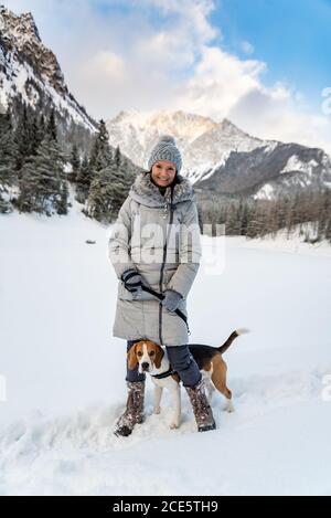 Beagle chien la première fois sur la neige avec le propriétaire. Banque D'Images