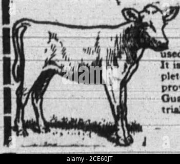 . Boone County Recorder . SSfc yo«r propres milkers beat et uv I Creese le produit de lait .on de votre Wdhow à veaux rapidement et économiquement sur I Rydes crème Calf repas I ? • MEILLEUR POUR LES VEAUX. — lh« MoM iucxeeaful lait i eobetituie sur le marché— 1 l'étandard de la perfection. ? Thoueandeoffarrnenhas Je l'ai jetée et nothuit elae pour yean. ? Il ia ml a atoca food-ife a com- i grippe • nourriture que hee a été certainement ) prouvé ht betterave pour rearinf calee*. Garanti à cinq reeulta 4 UN essai n convainquant. ! Nous sommes Northern KennuckyAgents pour Rydes Calf repas $3.50 par 100 livres. Fret payé. Pour Plumbi Banque D'Images