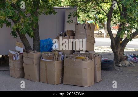 Les boîtes en carton sont empilées au point de réception des déchets de papier. Un chien errant repose en arrière-plan. Point de collecte des matériaux recyclables. Banque D'Images