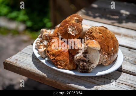 Plateau de champignons Boletus sur une table en bois. Banque D'Images