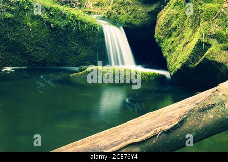 Torrent, ruisseau de montagne aux pierres de mousse, rochers et arbre déchu. Banque D'Images