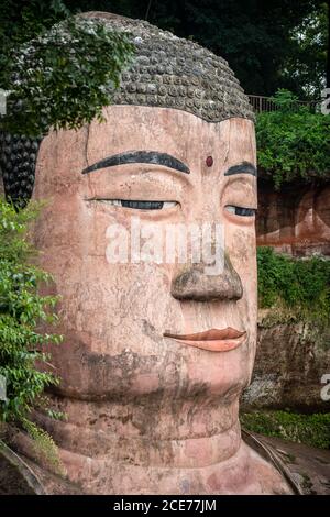 Gros plan sur la tête et le visage majestueux du Bouddha géant de Leshan Banque D'Images