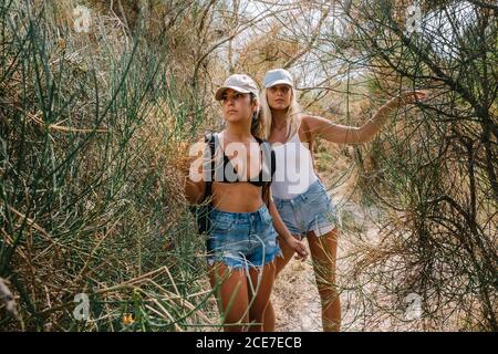Des amies gaies en vêtements d'été et avec des sacs à dos en appréciant vacances d'été Banque D'Images