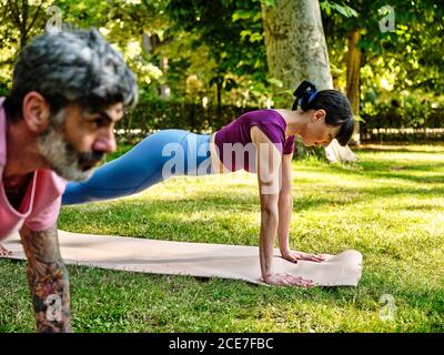 Vue latérale de l'homme et de la femme concentrés dans les vêtements de sport pratiquant le yoga à Phalakasana sur tapis dans le parc en été ensemble Banque D'Images
