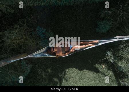Vue du dessus du drone de la femme dans le bikini et les lunettes de soleil détendez-vous dans un hamac tout en utilisant un smartphone dans un jardin verdoyant jour d'été ensoleillé Banque D'Images