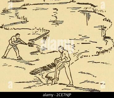 . M. Evans's Comment bien garder; . Jn négligé rue Cuttfe 4/ C** «*£* ? ?flf- Florida Health Notes. Figure 128.286 — et comment les {o Preveni. ^ JHTo^s.VS^ . Stocker les étangs d'Ikmancni J)rbin ou remplir tous les Spotr bas avec de l'eau stagnante simple mai S ^ ^v Collect. h feu- Banque D'Images